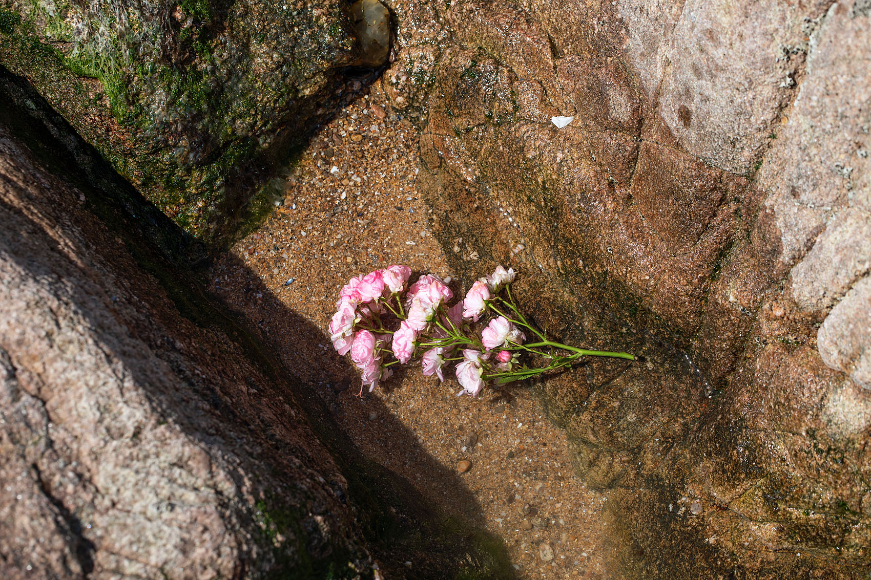 Les Sables d’Olonne, le 10 juin 2019. Les sablais sont venus déposer des fleurs sur le site du naufrage.