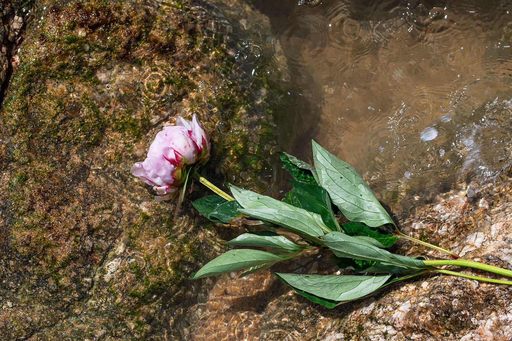 Les Sables d’Olonne, le 10 juin 2019. Les sablais sont venus déposer des fleurs sur le site du naufrage.